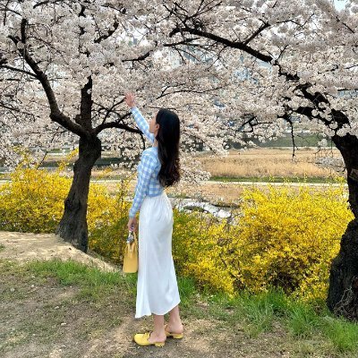 shuraino's profile picture. あなたの目に光が、あなたの笑顔に温かさがありますように