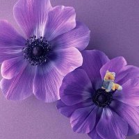 _MaCHi_iLYs_ (@_i__kcim_) 's Twitter Profile Photo