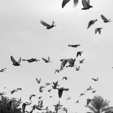 isava55's profile picture. 