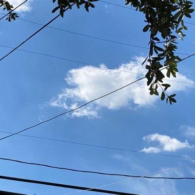 satx62's profile picture. 