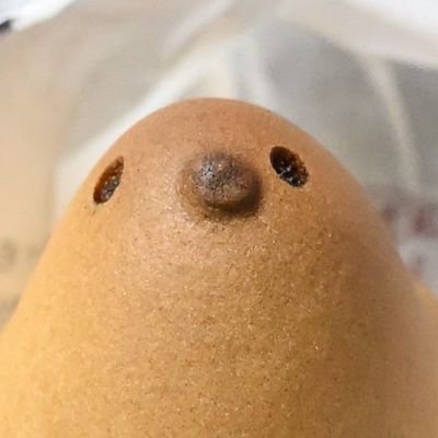 zinfu3's profile picture. 電気屋見習い
鹿屋基地の初心者提督
BF4&BF6