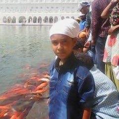 krsnadayma42's profile picture. Founder https://t.co/js0jTxx5Dp Machine Learning Engineer | Passion for Generative AI | Solving problems with code & math