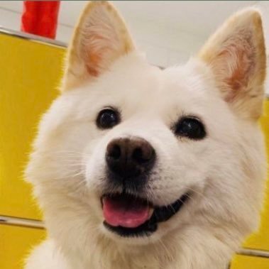 sesangyojig's profile picture. 너에게서 나온 것은 너에게로 돌아간다.