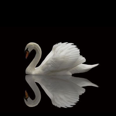 QOQ88_'s profile picture. 