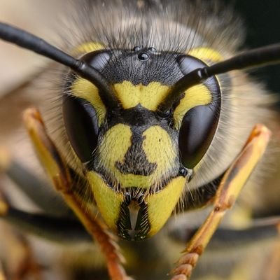 viscera_machine's profile picture. **RARELY ACTIVE ATM** 18+ MDNI ***E X T R E M E*** CONTENT WARNING** NSFW fandom artist. 29, he/they. multi-fandom