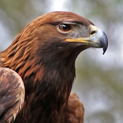 Con el tiempo, cada persona termina mostrando su verdadera esencia. Solo es cuestión de observar con paciencia. Ningún disfraz puede sostenerse eternamente.