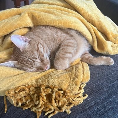 dbentonlax1's profile picture. living a lacrosse mom life 🥍Canisius aLum. co-founder Canisius w lax program. 25yr Girls HS, box, Rec & travel lax coach. #merica #billsmafia #716  I🩸 🦬 Blue