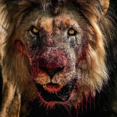MartinCamp70011's profile picture. 