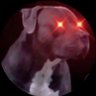 GracefulBitcoin's profile picture. #bitcoin 🍊⚡️⛏️