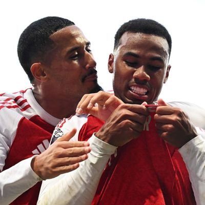 L8rNerd_'s profile picture. The Arsenal way – tradition, pride & beautiful football ❤️🤍”