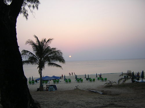 Work4Everybody's profile picture. 