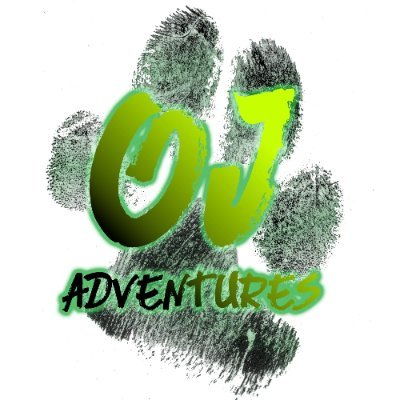 OJAdventuresYT's profile picture. 🐶 Jason & Ozzy the Border Collie | Hiking, camping & exploring South Wales ⛰️ Join the OJ Adventures pack 🎥 Watch more on YouTube!