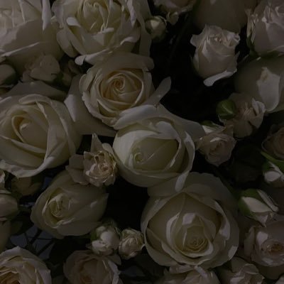 022xox's profile picture. 20↑