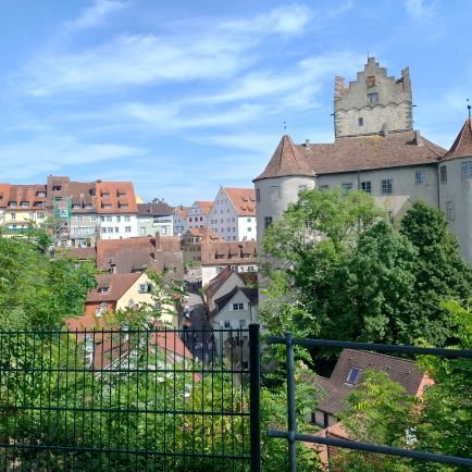 MaMozer4883's profile picture. 