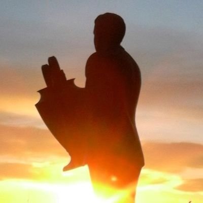 joe21163's profile picture. invincible. double. treble. quadruple treble yes the club who done the 12 in a row🏆🏆🏆 🏆🏆🏆 🏆🏆🏆 🏆🏆🏆