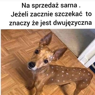 M8467622Micha's profile picture. witam