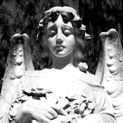 MacockTM's profile picture. જ⁀➴ 19.ᐟ MDNI ⁞ Basic DNI. 🔞 TW Sensitive/Unfiltered content ~ Vent/NSFW acc 𖹭