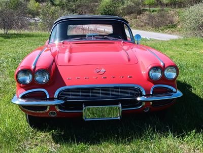 stonedawg70's profile picture. MAGA,MAHA, UGA,Bills Mafia,classic car fan. No Dm's