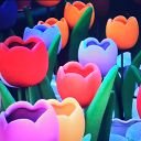 AmitS66622's profile picture. Gaming | Cricket