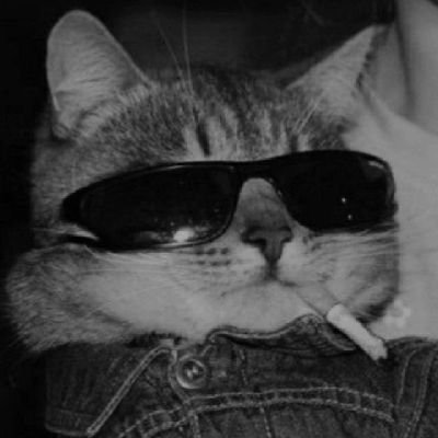 ginxunonumero's profile picture. Web 3 enthusiast✍️