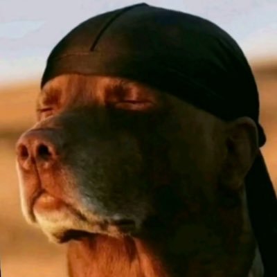 Ahuncho247's profile picture. 