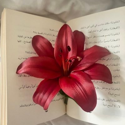 فما جوابي إلا ، الامُ والألِفُ