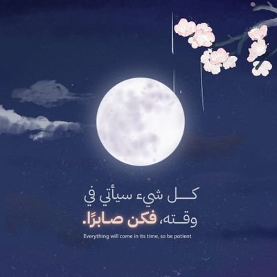 MohamedSamieh3's profile picture. 