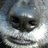 SimonJ01's profile image