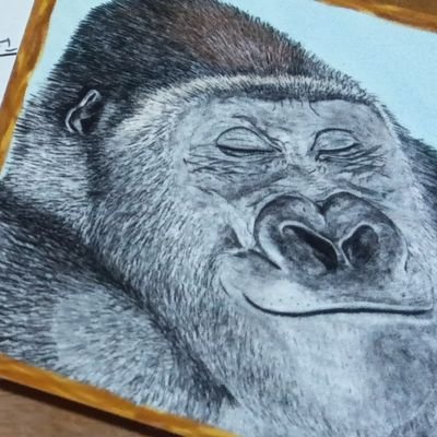 kyanagori0624's profile picture. 動物園巡り！特に東山動物園出没多め夏はあまり出没しません。ゴリラやネコ科の動物園大好き
TikTokライブたまーーにやってます！