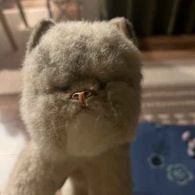 harusanpoponsa's profile picture. 33歳でASD ADHD 知的障害の診断を受け、療育手帳も貰いました。IQは62でした。 同じような方気持ちを共有できたら嬉しいです。 写真を撮りながら、お散歩をするのが好きです！Canon  EOS90Dを使っています。絵本や小説を読んだり、好きな万年筆で書き物をしたり、ゆっくり過ごしています。