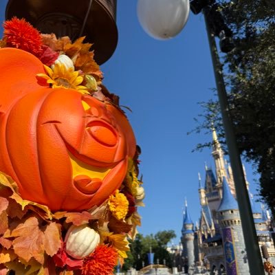 Doctor Disney is devoted to bringing you the best news about Disney Parks, Disney Movies, DCL, and all about the Mouse...and everything else in the world.