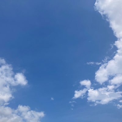 aoikun_sakana_'s profile picture. ヘッダー作成▷@mrs_toka27