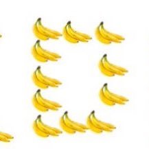 fuckkolp's profile picture. thesis is simple.  Fuck Kolp