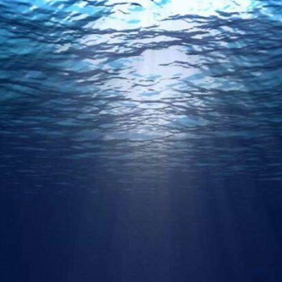 Eddie8904461182's profile picture. 