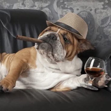 lzarg's profile picture. Jazz, wine and pizza aficionado. Lover of the NY Mets, Notre Dame Fighting Irish. Marketing guru and rocket ship builder.