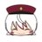 saigikudaily's profile image