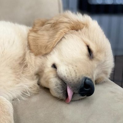 182ck's profile picture. 