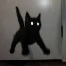 meggimagdinos's profile picture. spamming cat gifs for ?
@rtiaul