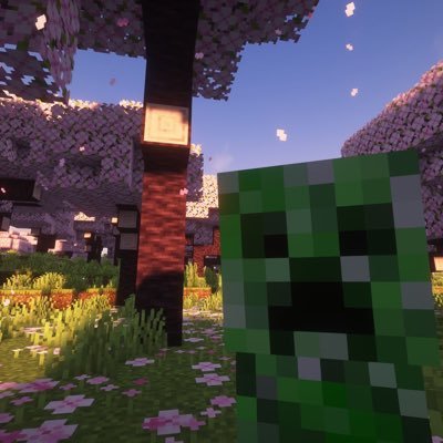 haychcee_'s profile picture. @sugarplumpkins