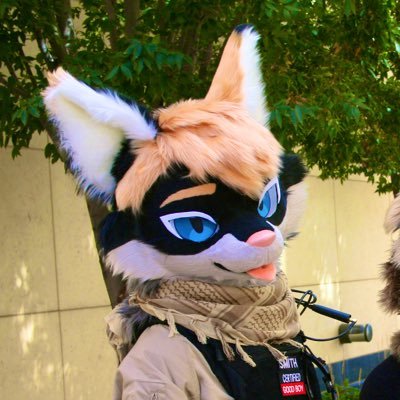 Content Creator // Car Cat // Always Sleepy // Tactical Twink // MDNI // 🔞