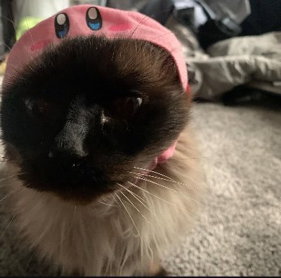 jerardfrfr's profile picture. 