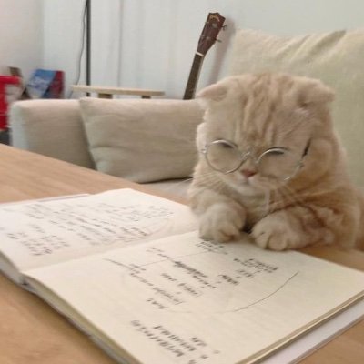 leovisaaaaa's profile picture. 