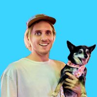 stevie 🏝️ (@stevie_builds) 's Twitter Profile