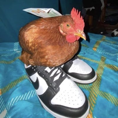 Gui_Football's profile picture. @Corinthians | @OfficialASRoma | @realmadrid | @ScuderiaFerrari | @Lakers | @packers | @linkinpark