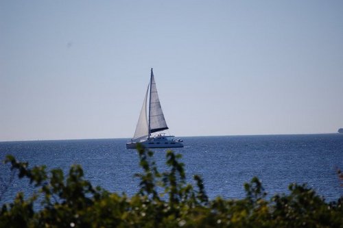 911650i's profile picture. Opinions are my own!