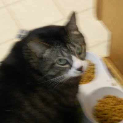 JimboWebbAlt's profile picture. 