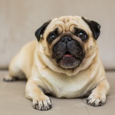 BallotCastChair's profile picture. U.S. electoral analysis and commentary.