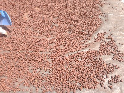 MadhuK94266's profile picture. GoldBullionX platform