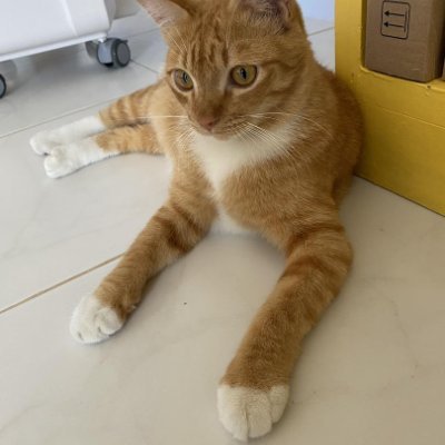 RoseEvelyn89457's profile picture. 