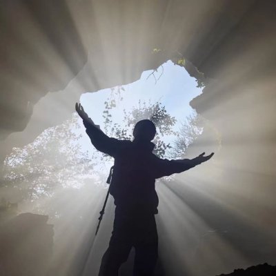 ModelSupplyHub's profile picture. 